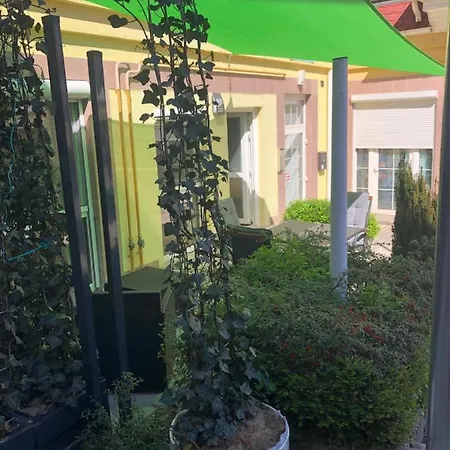 La Bella Centrum Piros/sarga